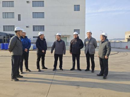 集团领导深入材保所开展节前安全大检查